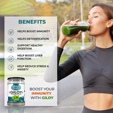 Nectar Valley Giloy Powder (Tinospora Cordifolia) 250g | Pure And Natural Guduchi Powder