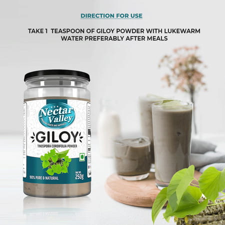 Nectar Valley Giloy Powder (Tinospora Cordifolia) 250g | Pure And Natural Guduchi Powder