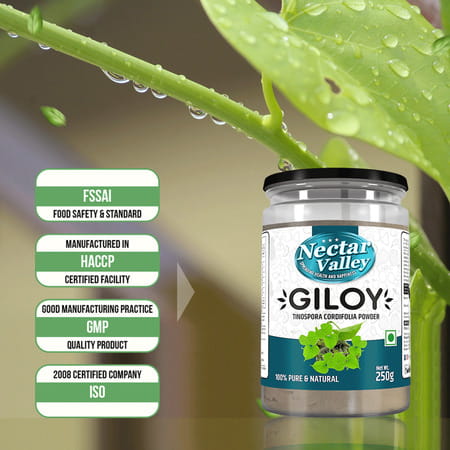 Nectar Valley Giloy Powder (Tinospora Cordifolia) 250g | Pure And Natural Guduchi Powder