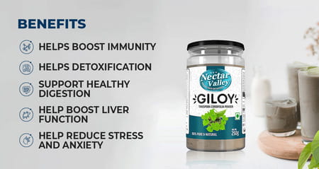 Nectar Valley Giloy Powder (Tinospora Cordifolia) 250g | Pure And Natural Guduchi Powder