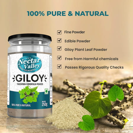 Nectar Valley Giloy Powder (Tinospora Cordifolia) 250g | Pure And Natural Guduchi Powder