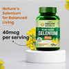 Vlado's Himalayan Organics Plant Based Selenium 40Mcg | Good For Immune Support | 60 Veg Capsules