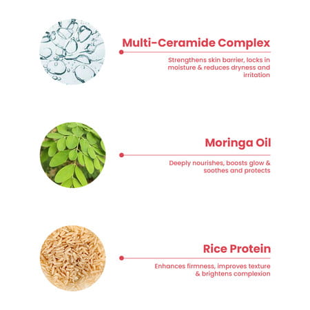 The Skin Story Moisturizing Face Cream 24hrs Hydration | Non-Oily | Wheat Protein | Shea Butter 50g