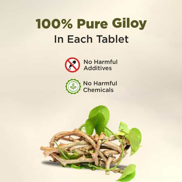 Four Seasons Guduchi Giloy Tablet - Each 60 Tablet | Boost Immunity | Blood Purification (Pack Of 2)