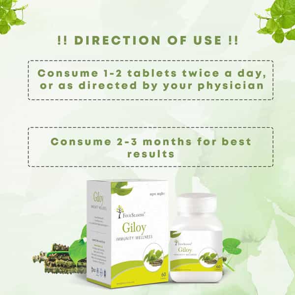 Four Seasons Guduchi Giloy Tablet - Each 60 Tablet | Boost Immunity | Blood Purification (Pack Of 2)