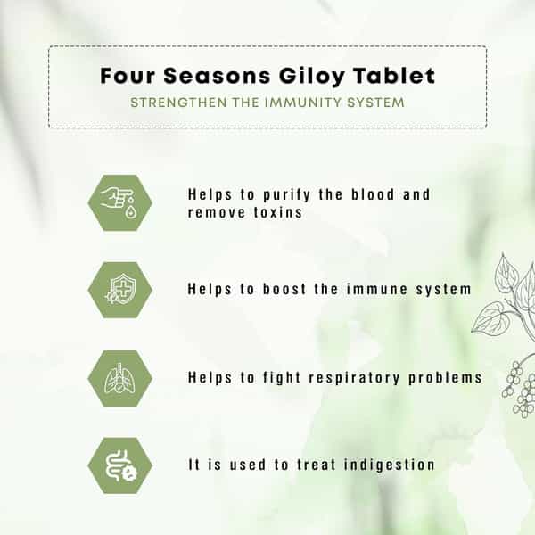 Four Seasons Guduchi Giloy Tablet - Each 60 Tablet | Boost Immunity | Blood Purification (Pack Of 2)