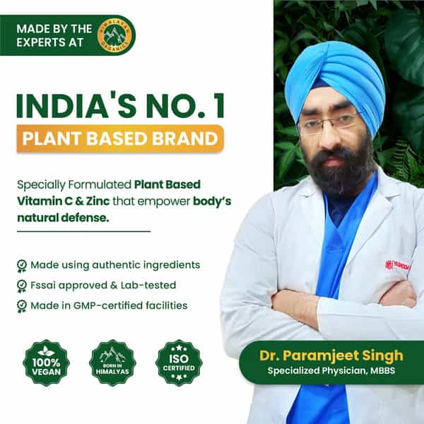 Vlado's Himalayan Organics Nitric Oxide Supplement | 60 Veg Capsules