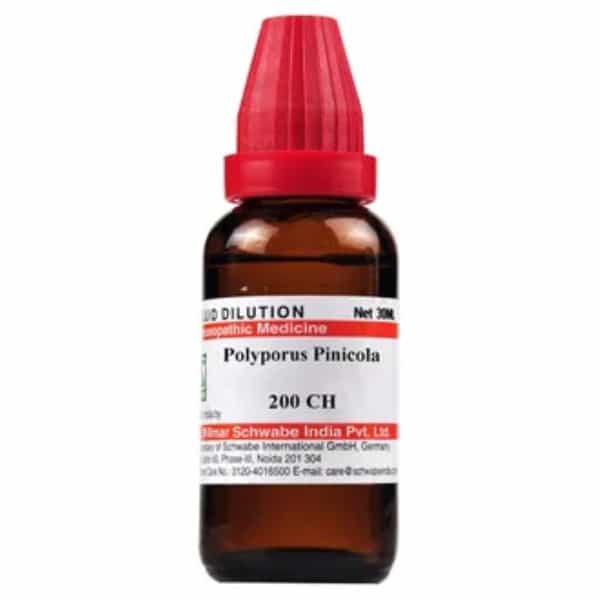 Dr. Willmar Schwabe India Polyporus Pinicola 200Ch 30Ml