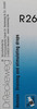 Dr. Reckeweg R 26 Draining And Stimulating Drops 22 Ml