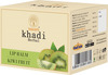 Vagad's Khadi Kiwi Fruit Lip Balm | Pack Of 3