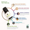 Anveya Australian Tea Tree Essential Oil 100% Natural & Pure 15Ml