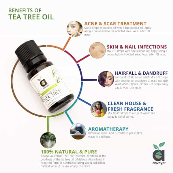 Anveya Australian Tea Tree Essential Oil 100% Natural & Pure 15Ml