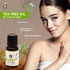 Anveya Australian Tea Tree Essential Oil 100% Natural & Pure 15Ml