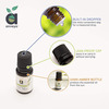 Anveya Australian Tea Tree Essential Oil 100% Natural & Pure 15Ml