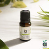 Anveya Australian Tea Tree Essential Oil 100% Natural & Pure 15Ml