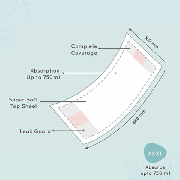Pee Safe Maternity Pads - Pack Of 8| Best Suited For Urinary Incontinence & Heavy Flow - 480Mm