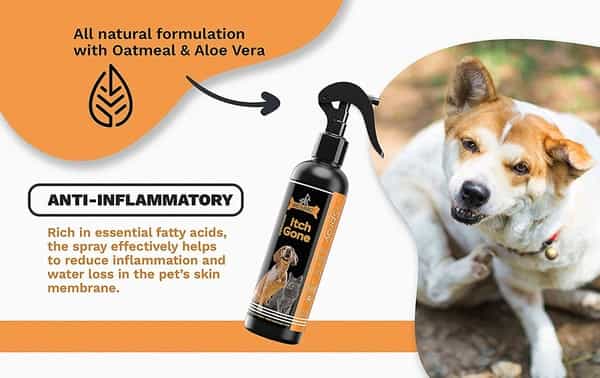 Dogz & Dudez Oatmeal Itchgone-50Ml