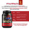 Optimum Nutrition (On) Gold Standard 100% Whey Protein Double Rich Chocolate Flavour 907Gm Powder