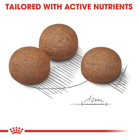 Royal Canin Maxi Digestive Care Dog Food | 3 Kg | Dry Food | Helps In Improving Stool Quality