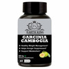 Earth King Garcinia Cambogia Capsule With Green Tea & Green Coffee Extract - 500Mg 60 Capsules
