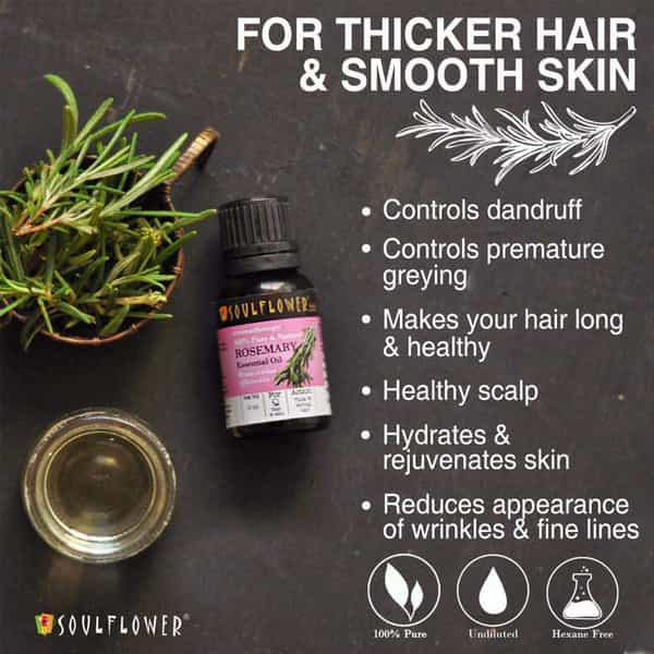 Soulflower Rosemary Essential Oil15ml & Soulflower Tea Tree Essential Oil 15Ml