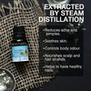 Soulflower Rosemary Essential Oil15ml & Soulflower Tea Tree Essential Oil 15Ml