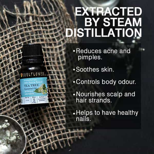 Soulflower Rosemary Essential Oil15ml & Soulflower Tea Tree Essential Oil 15Ml