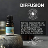Soulflower Rosemary Essential Oil15ml & Soulflower Tea Tree Essential Oil 15Ml