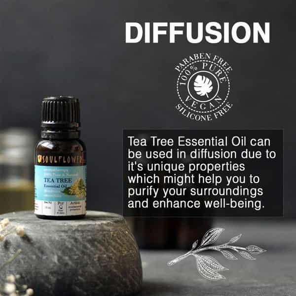 Soulflower Rosemary Essential Oil15ml & Soulflower Tea Tree Essential Oil 15Ml
