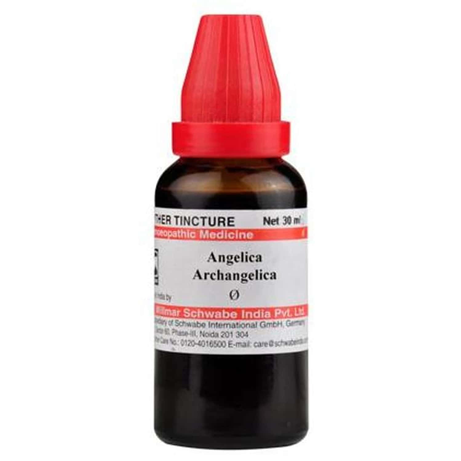 Dr. Willmar Schwabe India Angelica Archangelica Mother Tincture Q 30 Ml