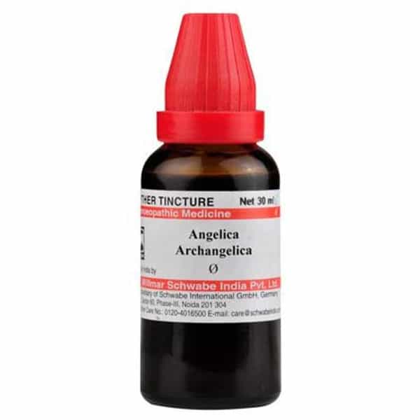 Dr. Willmar Schwabe India Angelica Archangelica Mother Tincture Q 30 Ml