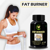 Fij Ayurveda Fat Burner Capsule | Hunger Suppressant & Weight Loss Supplement - 500Mg 60 Capsules