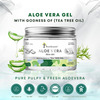 Four Seasons Aloevera Gel With Goodness Of Tea Tree Oil 200G | Ultimate For Skin And Hair