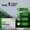 Nidco Shilajit Tablets (30 Tabs)
