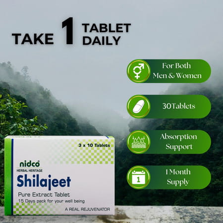 Nidco Shilajit Tablets (30 Tabs)
