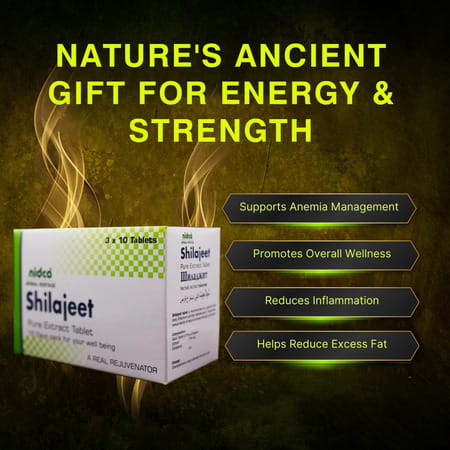 Nidco Shilajit Tablets (30 Tabs)