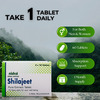Nidco Shilajit Tablets (30 Tabs)