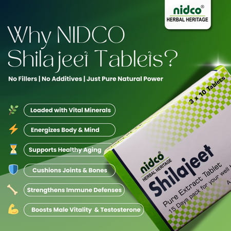 Nidco Shilajit Tablets (30 Tabs)