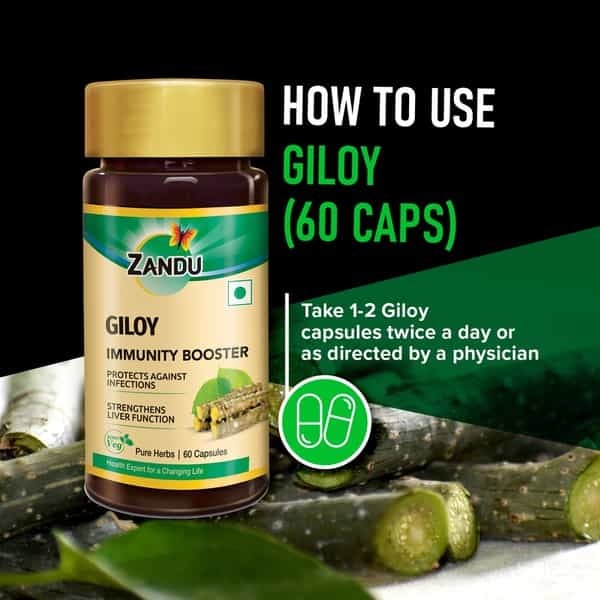 Zandu Guduchi Pure Herbs Immunity Booster Capsules Bottle Of 60