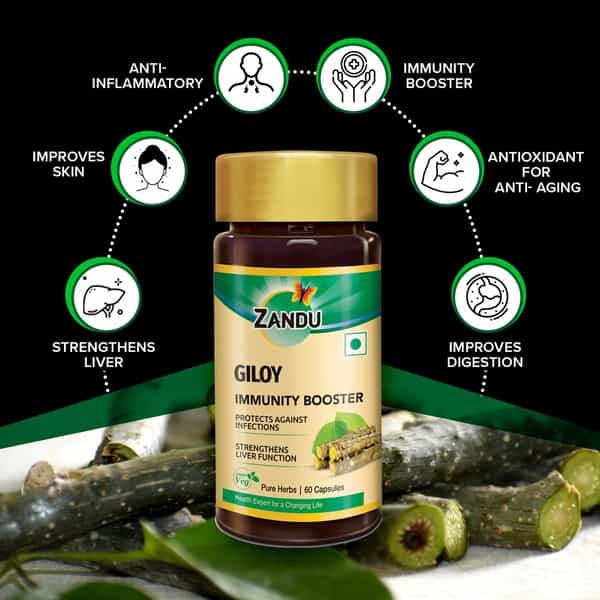Zandu Guduchi Pure Herbs Immunity Booster Capsules Bottle Of 60