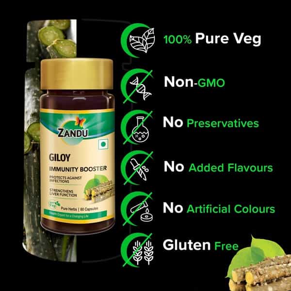 Zandu Guduchi Pure Herbs Immunity Booster Capsules Bottle Of 60
