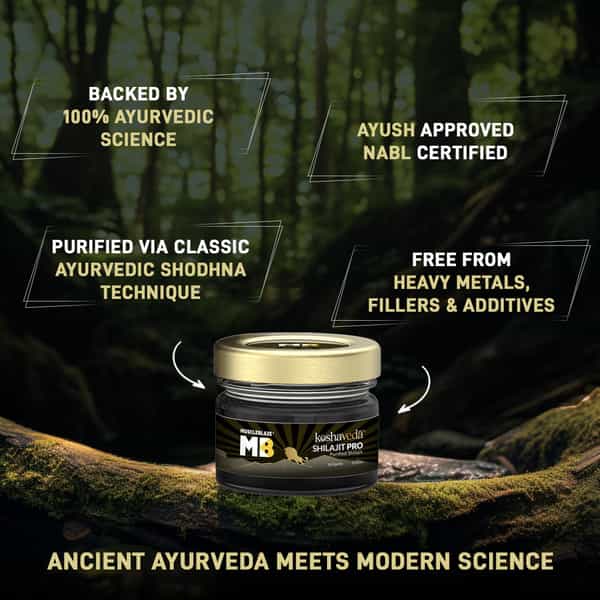 Koshaveda Shilajit Pro By Muscleblaze | 20 G Resin | For Strength | Stamina & Endurance (Pack Of 2)