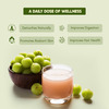 Rasayanam Pure Amla Juice For Healthy Hair & Skin | 2x Vitamin C | Made With Francis Amla | 750ml