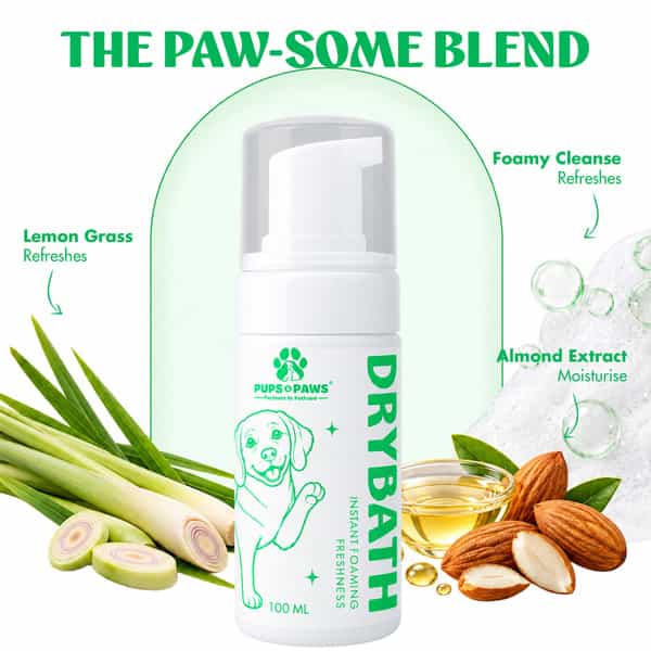 Pups & Paws Waterless Dry Shampoo Foam For Dogs & Cats | No-Rinse 6% Lemongrass & 2% Almond | 100 Ml