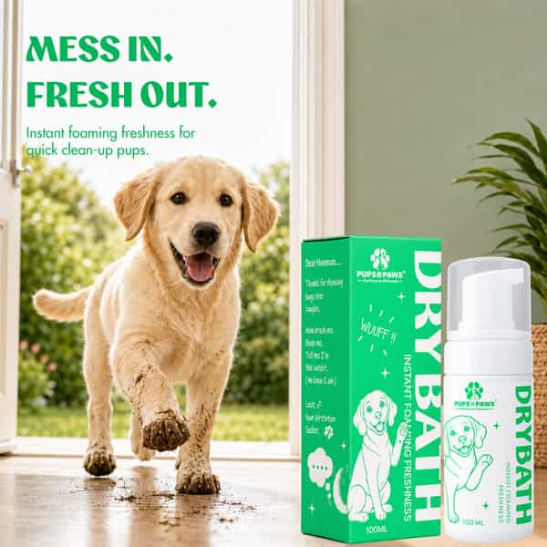 Pups & Paws Waterless Dry Shampoo Foam For Dogs & Cats | No-Rinse 6% Lemongrass & 2% Almond | 100 Ml