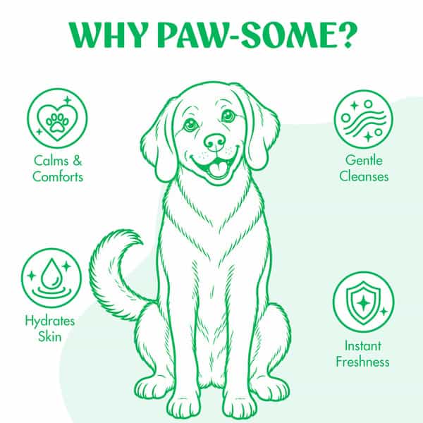 Pups & Paws Waterless Dry Shampoo Foam For Dogs & Cats | No-Rinse 6% Lemongrass & 2% Almond | 100 Ml