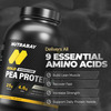 Nutrabay Gold Pea Protein Powder | 25G Protein | 4.6G Bcaa | 5G Fiber | French Vanilla - 2Kg