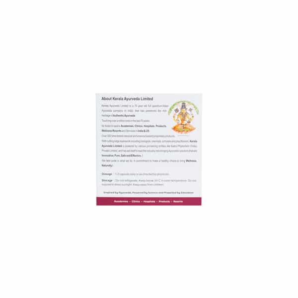 Kerala Ayurveda Lumbagest Capsule 100 Nos