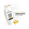 Pantene Advanced Hair Fall Solution Long Black Shampoo - 340Ml
