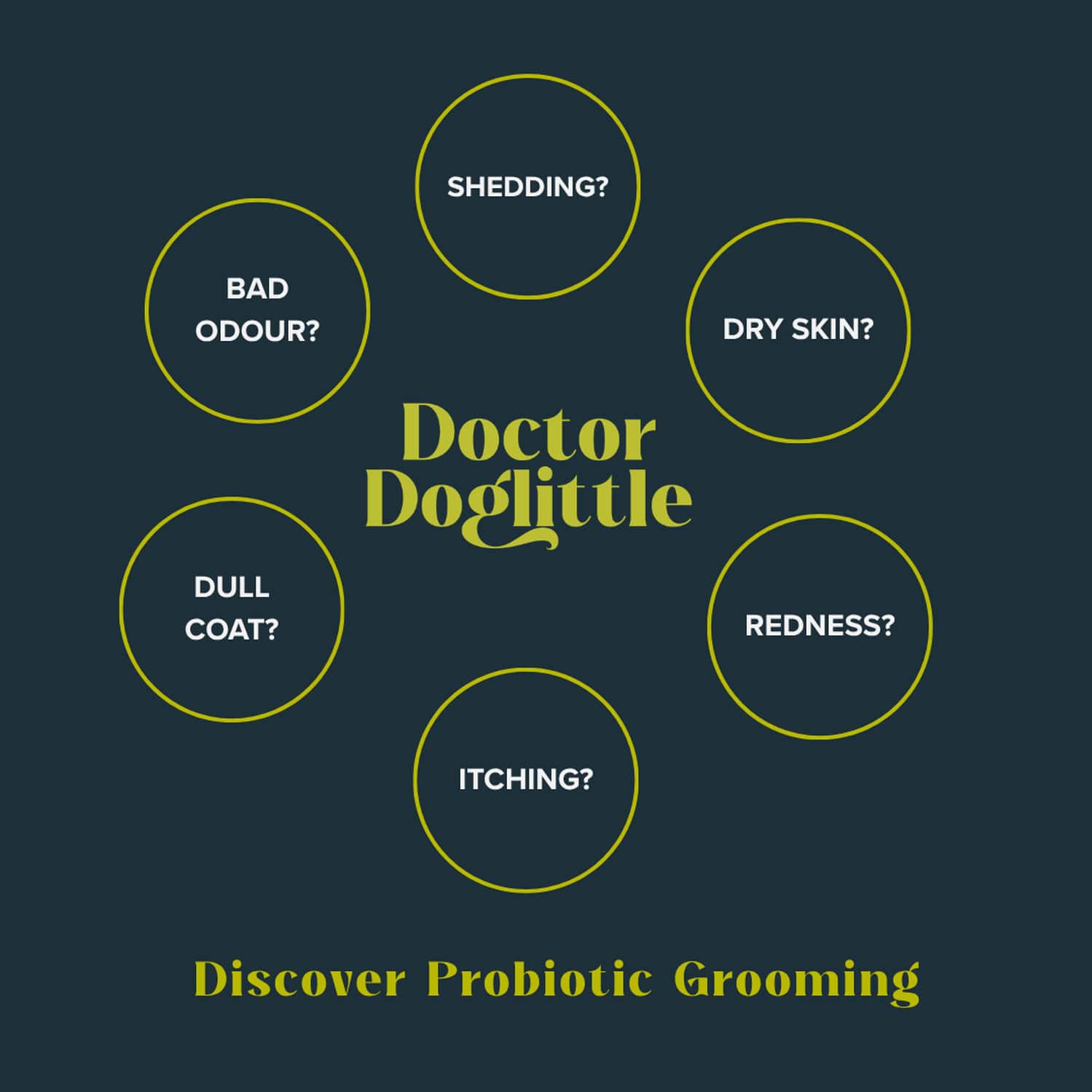 Doctor Doglittle Probiotic Dog Dry Shampoo Spray (100 Ml)